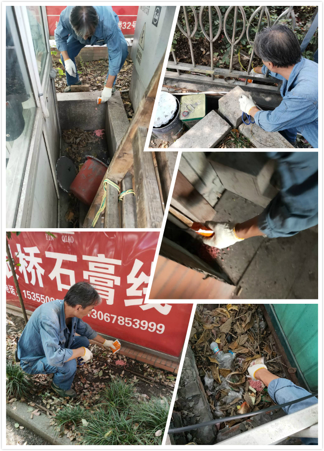 投放鼠藥.jpg 投放鼠藥.jpg