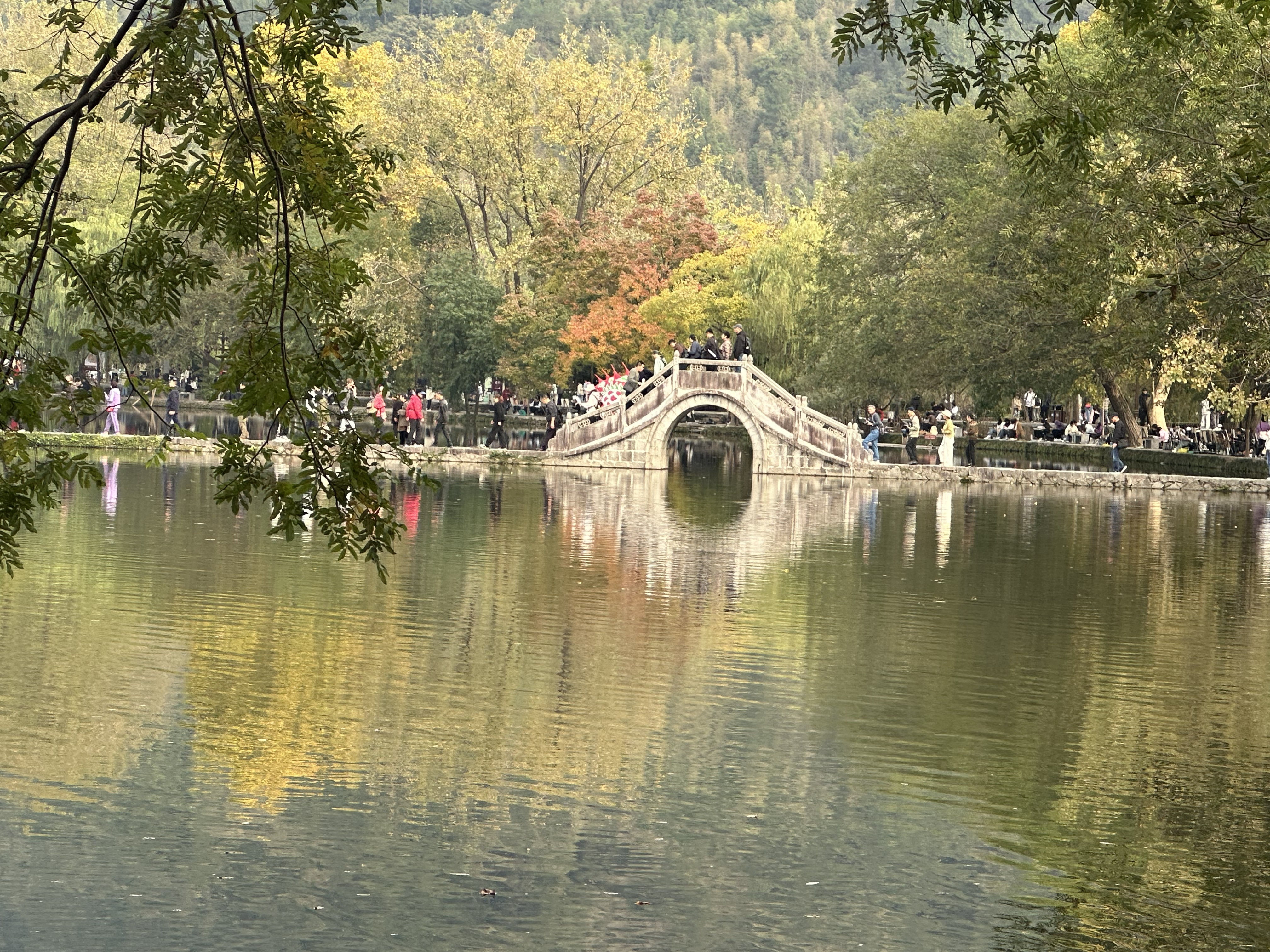 圖片3.png 圖片3.png